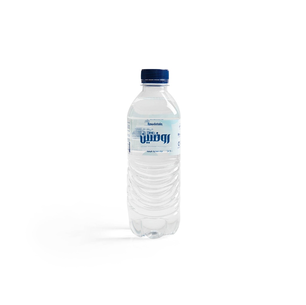 RAWDATAIN WATER 500 ML 20 PC