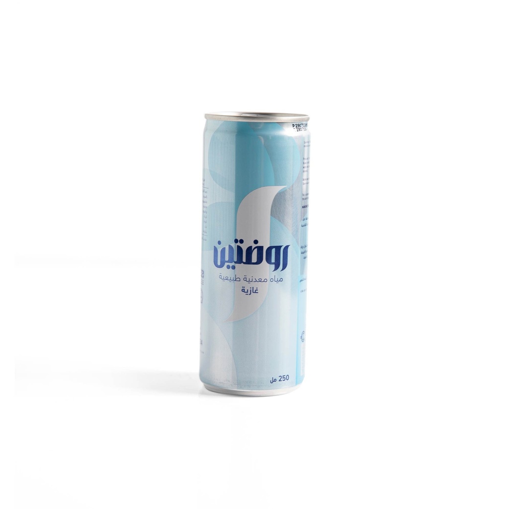 SPARKLING RAWDATAIN WATER 250 ML CANS